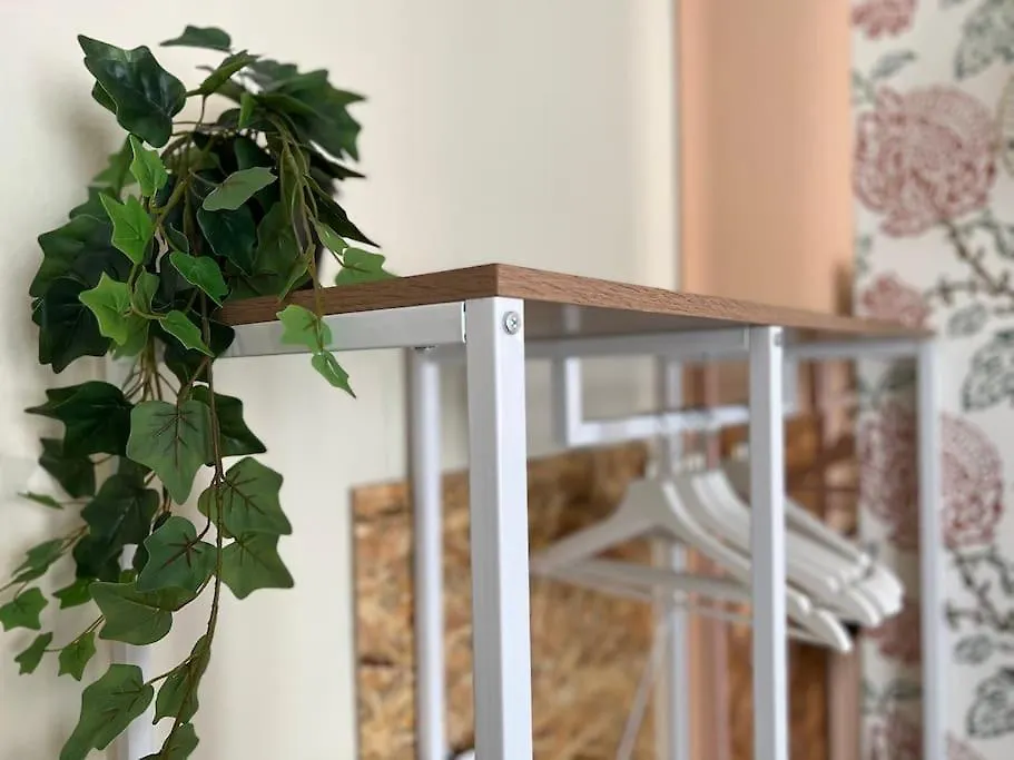 Homingpisa - Gemini One Apartman 0*, Pisa Olaszország